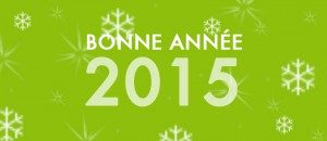 Bonne Année 2015